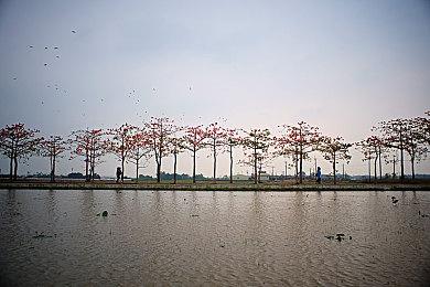 《勇气默示录》制作人暗示重制作品或即将推出